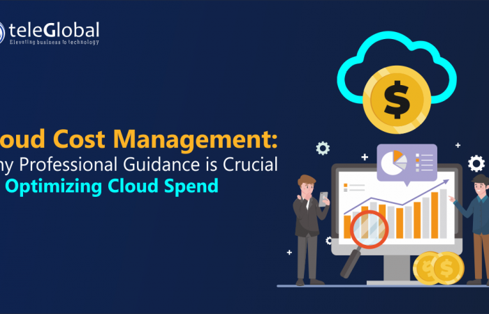 Cloud Cost Management- Why Professional Guidance is Crucial for Optimizing Cloud Spend - TeleGlobal International