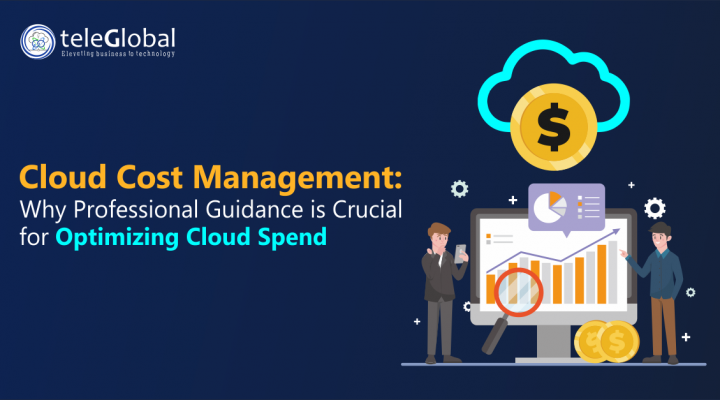 Cloud Cost Management- Why Professional Guidance is Crucial for Optimizing Cloud Spend - TeleGlobal International