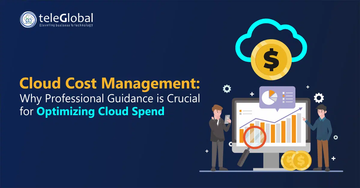 Cloud Cost Management- Why Professional Guidance is Crucial for Optimizing Cloud Spend - TeleGlobal International