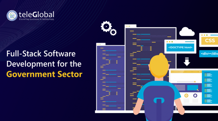 Full-Stack Software Development for the Government Sector