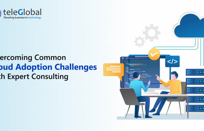 Overcoming Common Cloud Adoption Challenges with Expert Consulting - Teleglobal International